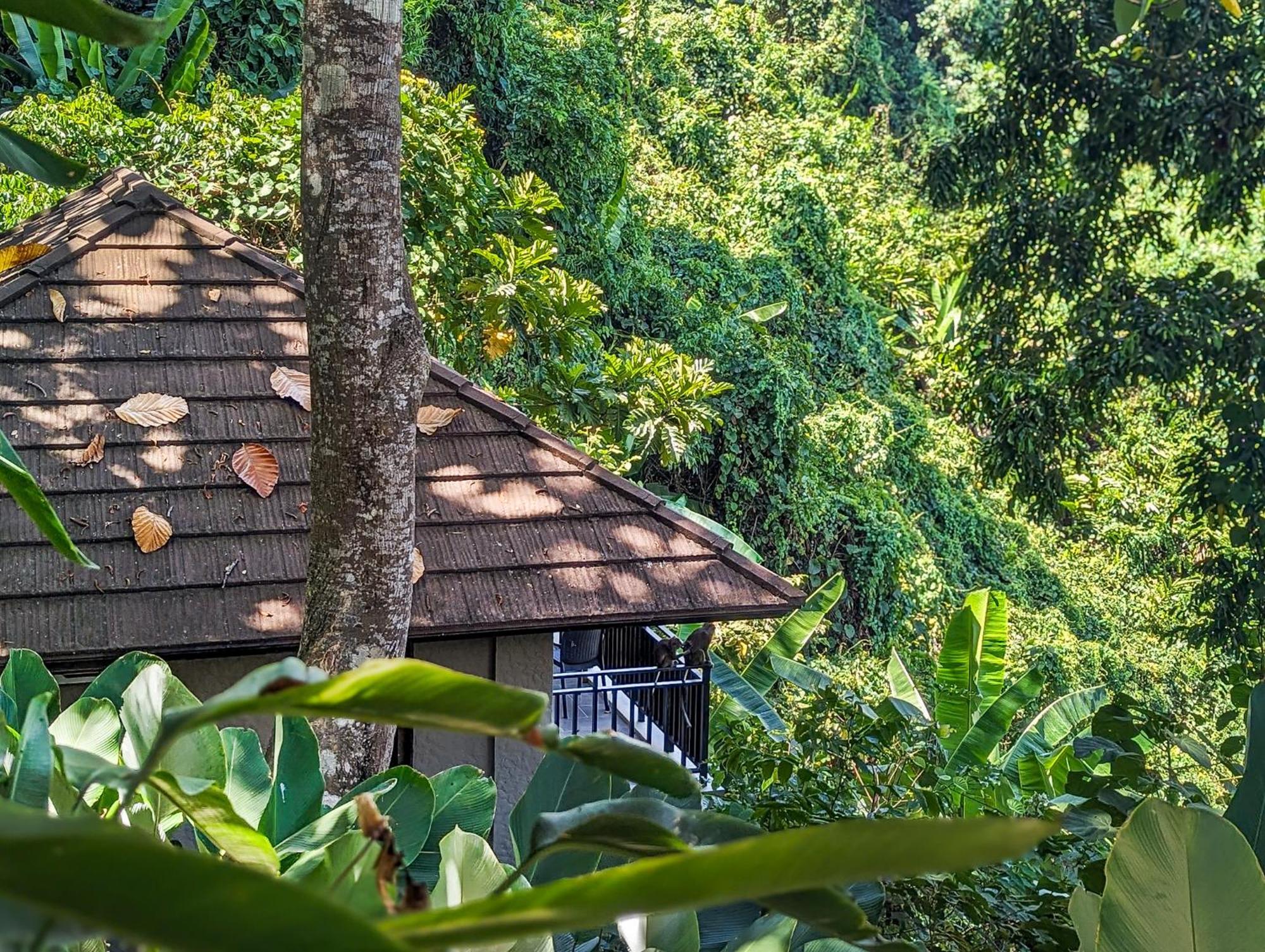Perch El Nido'S Seaview Villas Overlooking Marimegmeg Kültér fotó